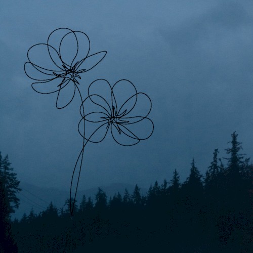 may flowers