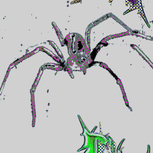 SPIDER