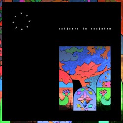 cathexes in eschaton