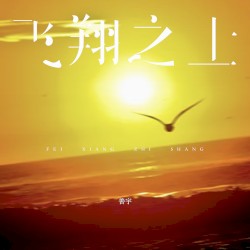飞翔之上
