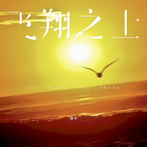 飞翔之上