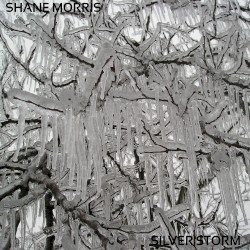 Silver Storm