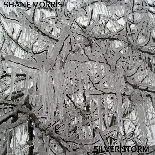 Silver Storm