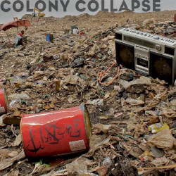 Colony Collapse