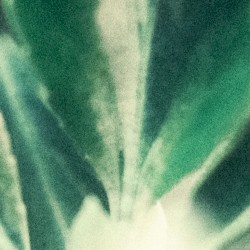 resolve / relate 03