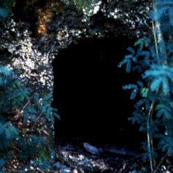 Caves With No Faces