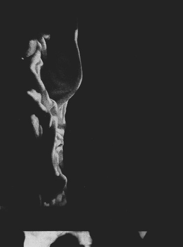 Transience Frequency