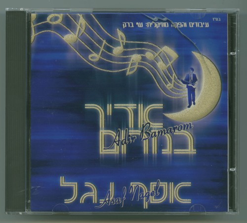 אדיר במרום