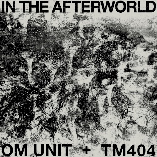 Motorway Acid