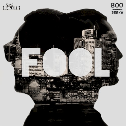 Fool