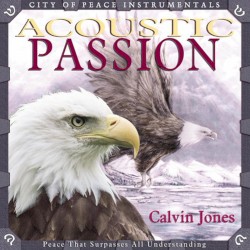 Acoustic Passion