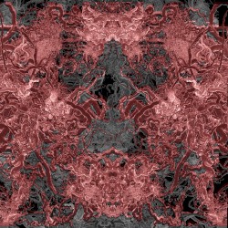 Splines 1