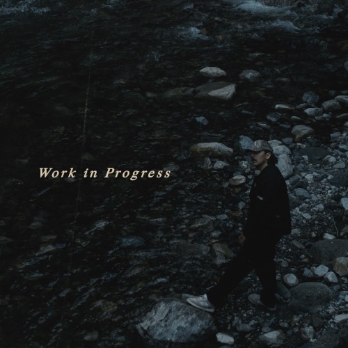 Work In Progress