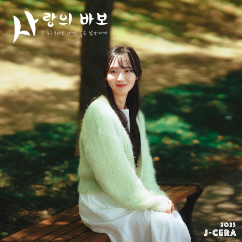 사랑의 바보