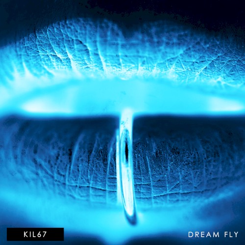 Dream Fly