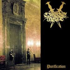 Purification
