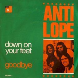 Down on Your Feet / Goodbye