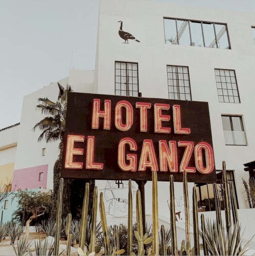 Live From El Ganzo