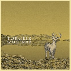 Torgeir Waldemar