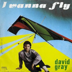 I Wanna Fly