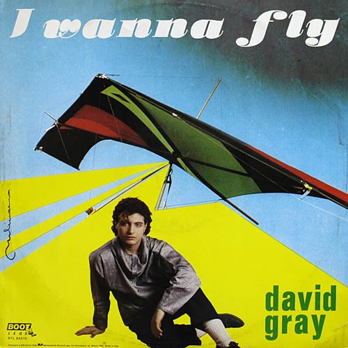 I Wanna Fly