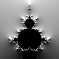 Opposites