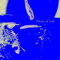 Pieces of Late