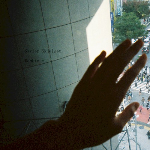 Bombinae
