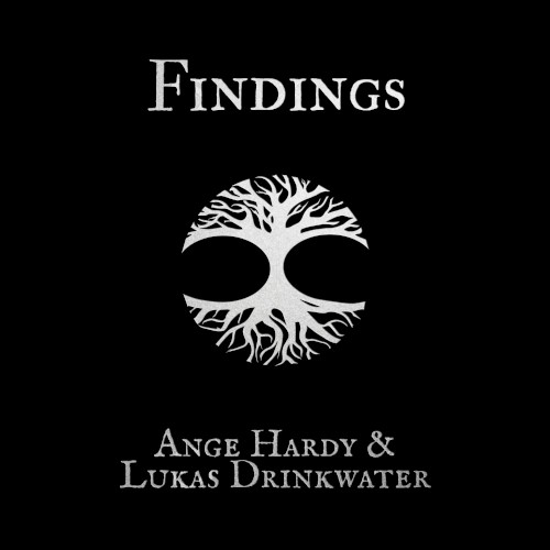 Findings