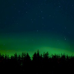 Northern Lights