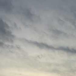 Node