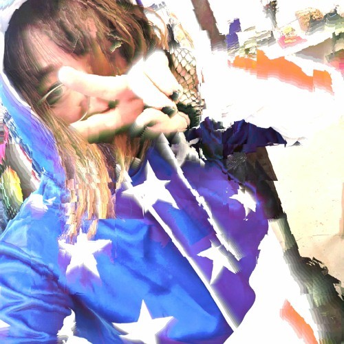 i really wish i could go to home depot one day but im stuck here forever (love song to the united states of america)