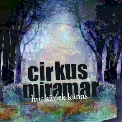 Hur kärlek känns