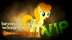 Beyond Her Garden (Sonic Breakbeat VIP Remix)
