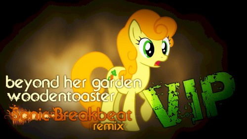 Beyond Her Garden (Sonic Breakbeat VIP Remix)