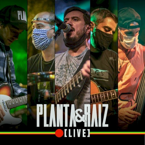 Planta e Raiz Live
