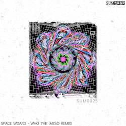 Who The (MeSo remix)