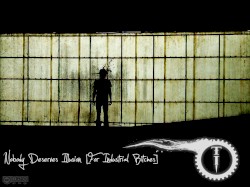 Nobody Deserves Illusion [For Industrial Bitches]