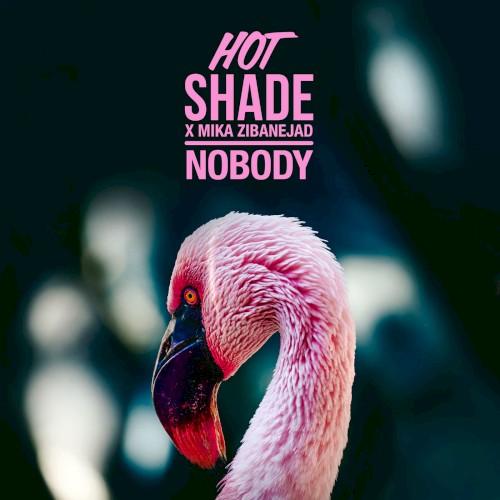Nobody