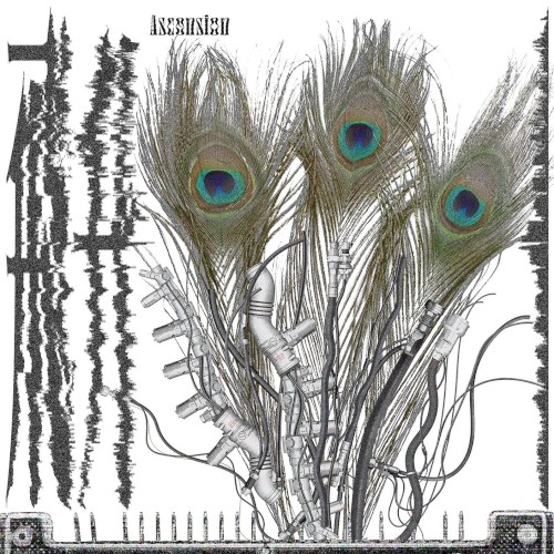 Ascension 飛升