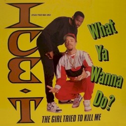 What Ya Wanna Do?