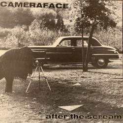 After the Scream