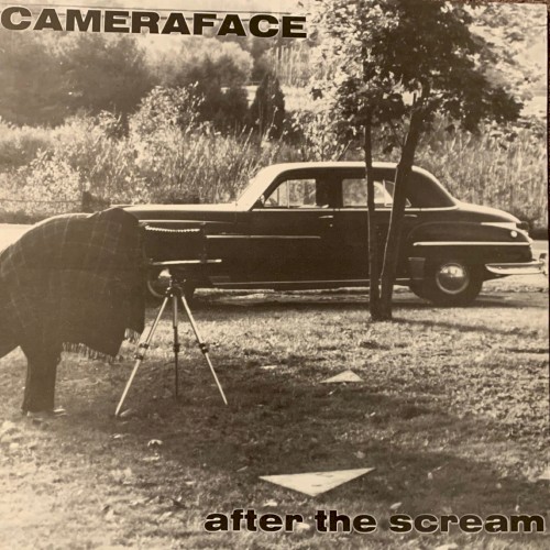 After the Scream