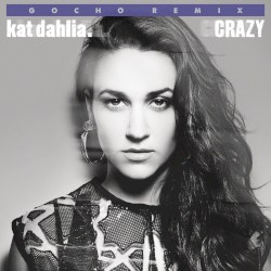 Crazy (remix)