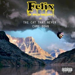 The Cat That Never Came Down