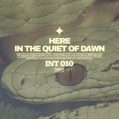 In the Quiet of Dawn