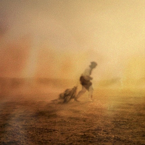 Desert Wanderer