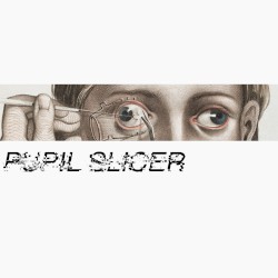 Pupil Slicer