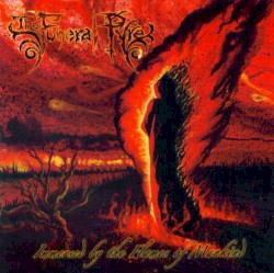 Immersed by the Flames of Mankind