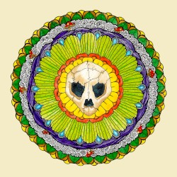 Turtle Skull